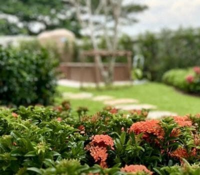landscaping-6-1