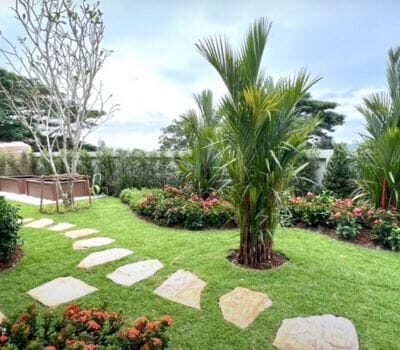 landscaping-9-1